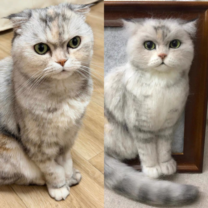 A split-screen photo showing a fluffy silver-gray cat in two different poses. The left side shows the cat sitting on a light wood floor, and the right side shows the cat sitting in front of a dark wooden frame on a light carpet.