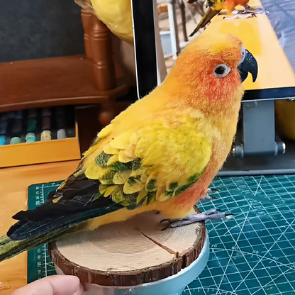 Custom needle-felted parrot replica image 4