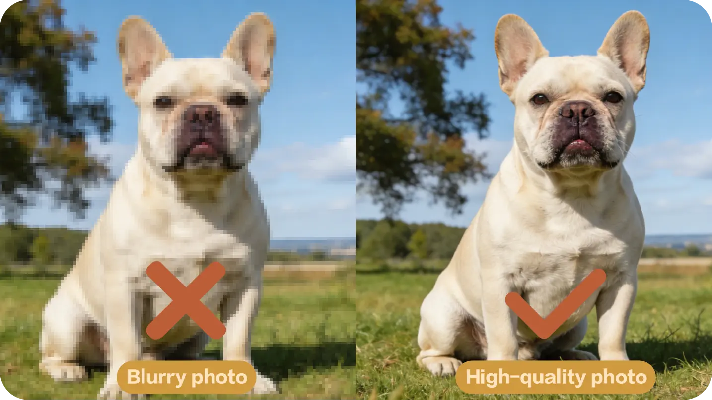 Pet portrait reference photo guide 1