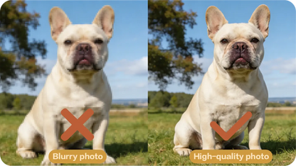 Pet portrait reference photo guide 1