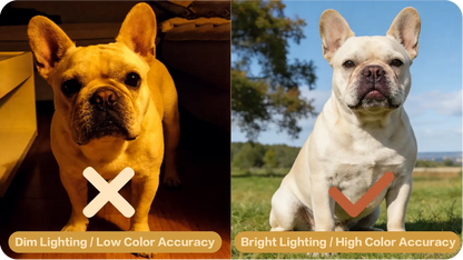 Pet portrait reference photo guide 2