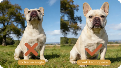 Pet portrait reference photo guide 3