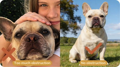 Pet portrait reference photo guide 4