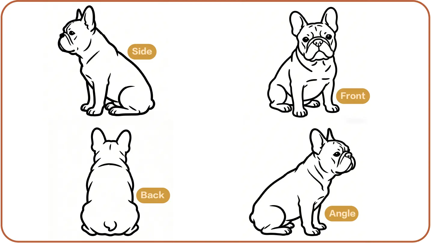 Pet portrait reference photo guide 6