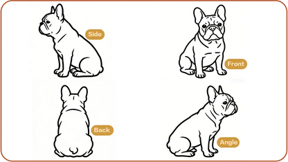 Pet portrait reference photo guide 6