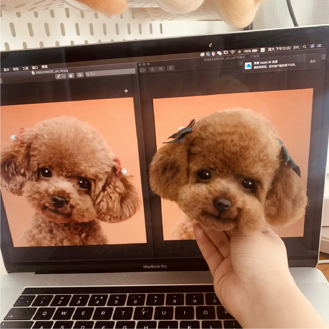 Handmade felted pet portrait example 6