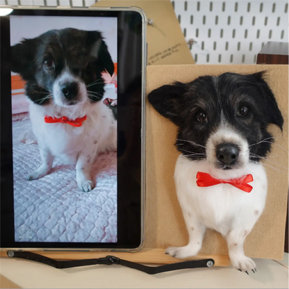 Handmade felted pet portrait example 17
