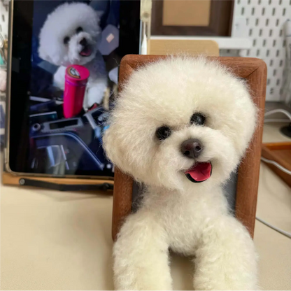 Handmade felted pet portrait example 18